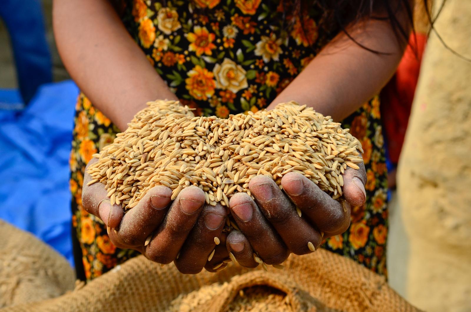 Empoderar a la mujer rural disminuye la pobreza